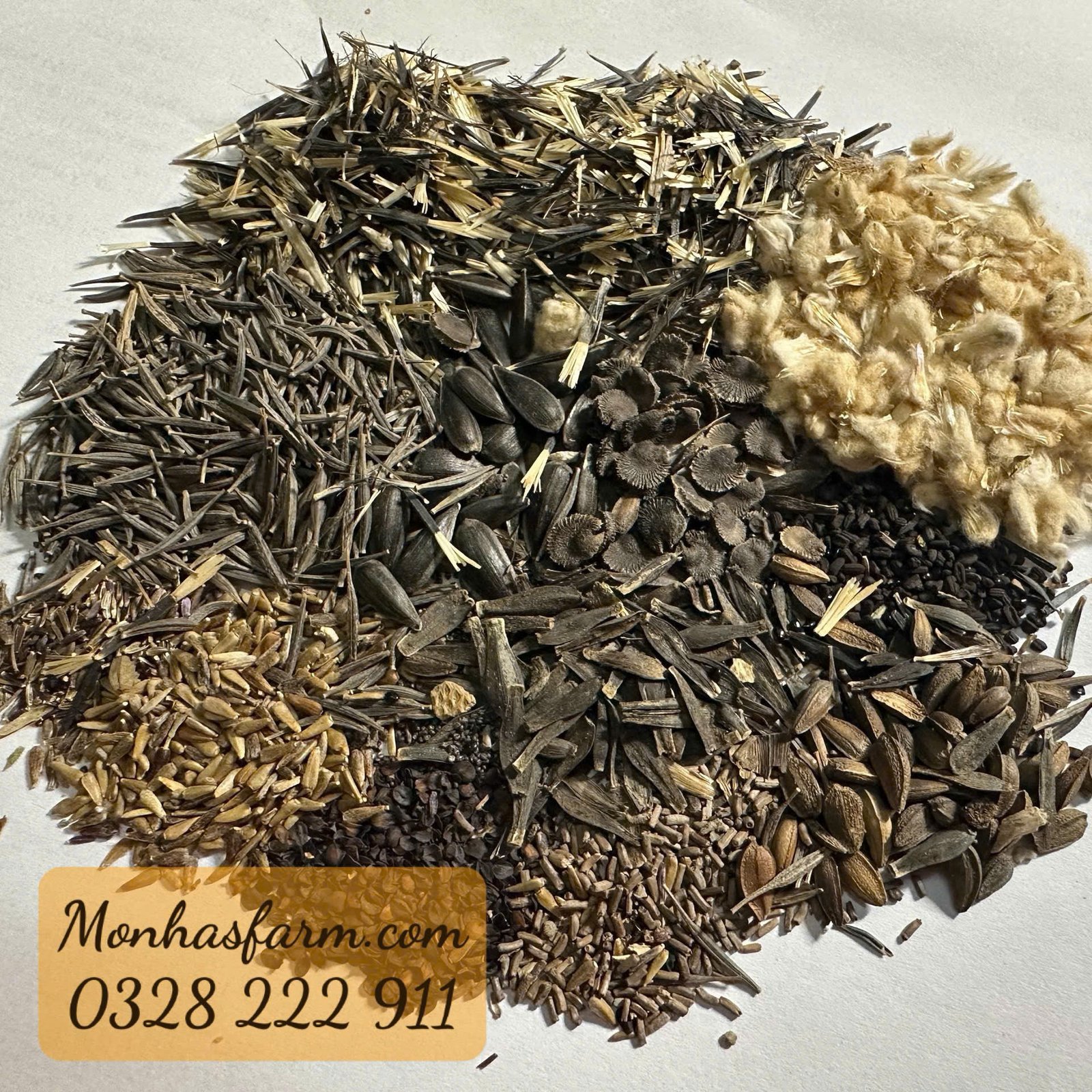 1000 Hạt Giống Hoa Mix 15 Loại Dễ Trồng Nhất – Nở Rộ Quanh Năm, Trồng Tết Cực Đẹp